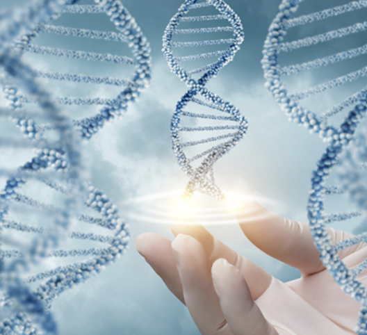 Designing Your DNA - Home Study - Julie Renee
