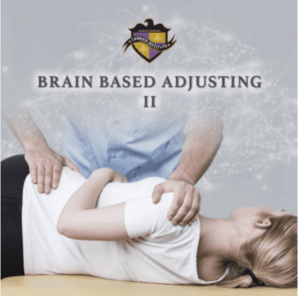 Brain-Based Adjusting II (716) - Carrick Institute