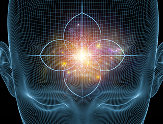 human brain Dr Pillai