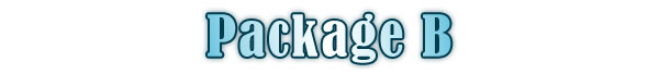 src= /></div></div><div>All items included in “Package A” PLUS</div><div><div><img loading=
